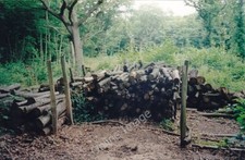 Photo 6x4 Cordwood stack in