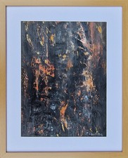 Echoes of the Wild: Lynx