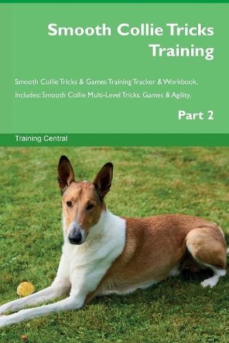 Smooth collie tricks training - smooth,