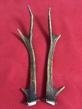 PAIR OF SIKA DEER ANTLERS