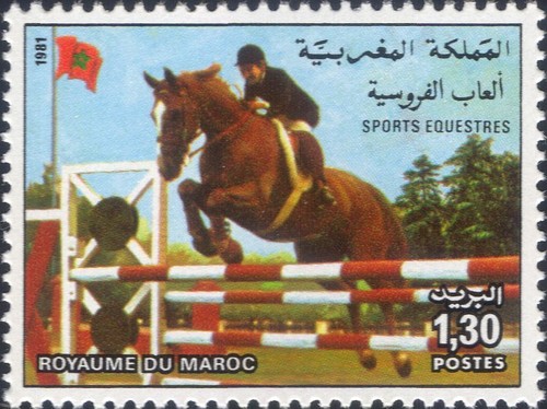 Morocco 1981 equestrian - 1981,