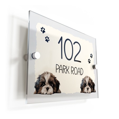 Shih tzu dog puppy - dog,