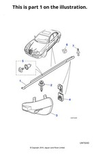 Jaguar Genuine Body Side