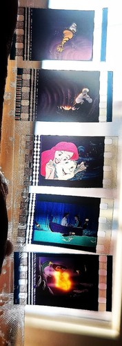 The little mermaid disney dvd - the,