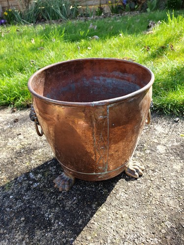 Small copper garden - copper, pot
