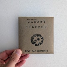 Canary Climber Seeds in a Hand-Stamped Packet - Packs of 10, 20 or 100 Seeds