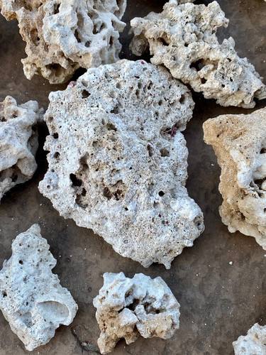 Dry rocks marine saltwater - dry,