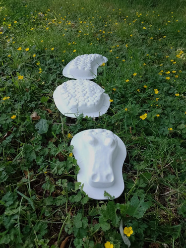 Crocodile plastic mould - plastic,