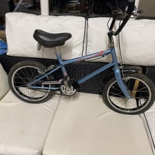 Raleigh Boxer Vintage Kids