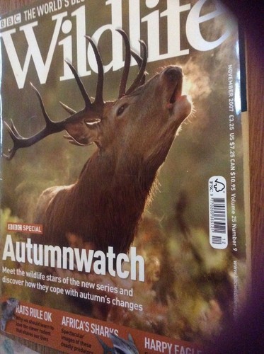 Bbc wildlife magazine - magazine,