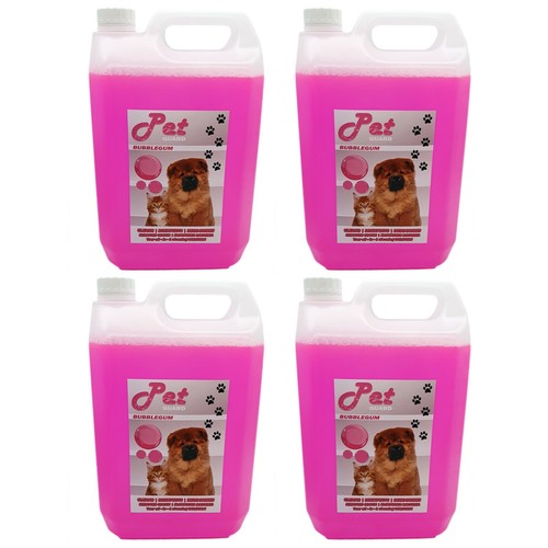 Pet cattery kennel - pet,