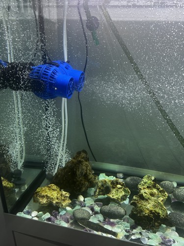 Aquarium - aquarium,