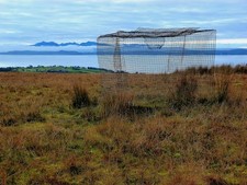 Photo 6x4 Larsen Trap