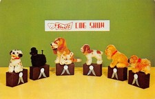 Steiff Dog Show Zoo Favorites