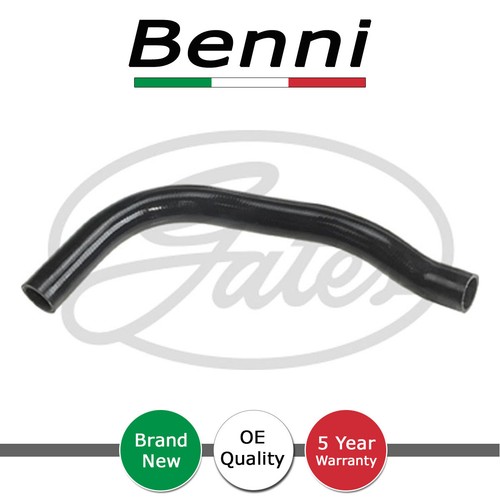 Radiator coolant hose lower - coolant,