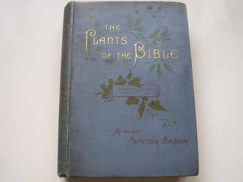 The plants - plants, of