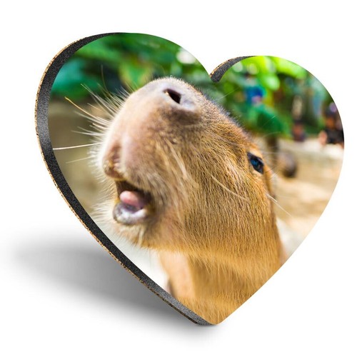Heart mdf coaster cute - heart,