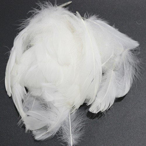 100pcs beautiful ostrich - 100pcs,
