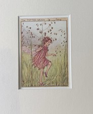 Flower Fairies Vintage Print