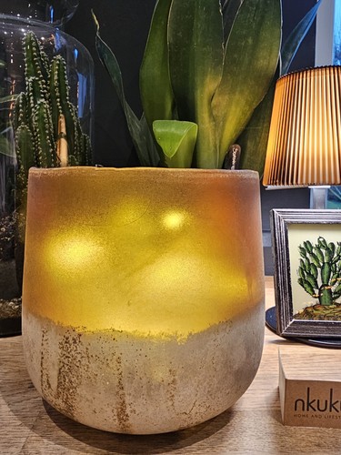 Gorgeous nkuku large ngolo - ☆,