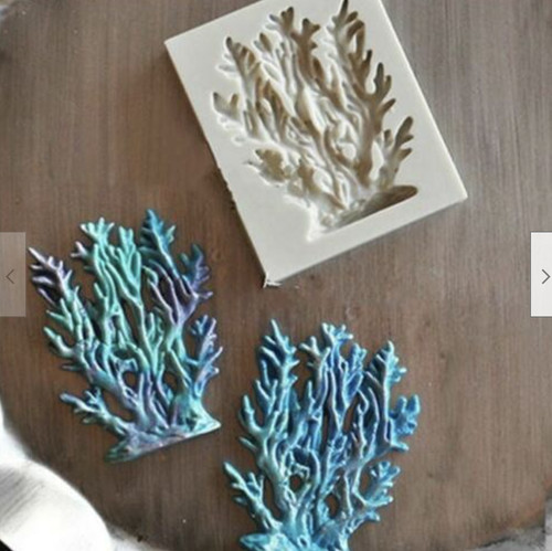 Seaweed coral ocean sea - coral,