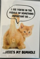 Funny - Adult, Joke, Humour