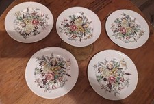 5x 10 in Johnson Brothers