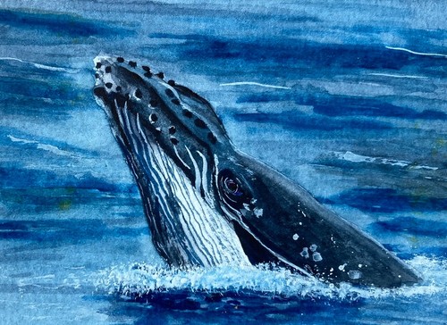 Original watercolour humpback - original,
