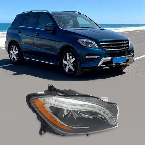 Xenon hid headlight for - headlight,