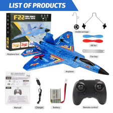 F22 Raptor RC Plane 2.4G 2CH