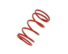 Naraku Back Pressure Spring