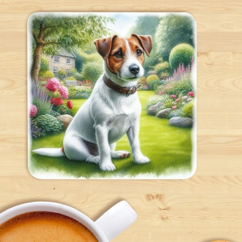 Jack russell terrier dog - jack,