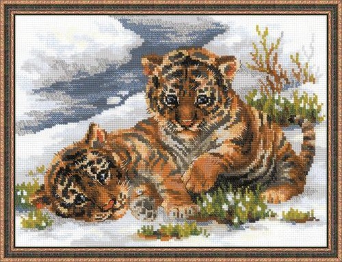 Tiger cubs the snow - in, cross
