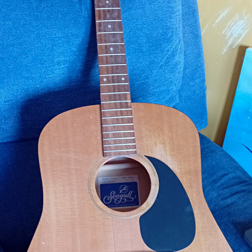 Seagull deluxe - seagull, s(6)