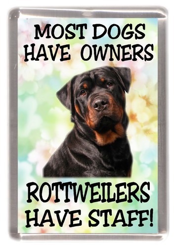 Rottweiler dog fridge - fridge, magnet
