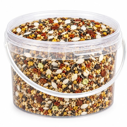 Pet ting parrot - ting, premium