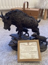 The Rocky Mountain Goat by