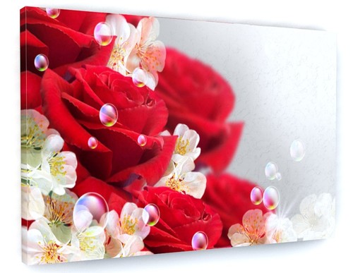 Stunning red rose flowers - red,