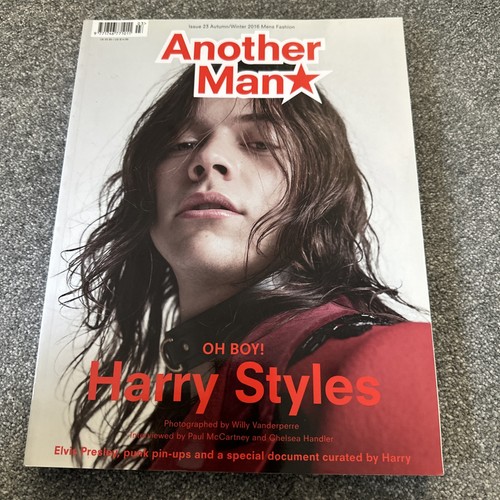 Harry styles willy vanderperre - harry,