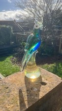 Murano Style Art Glass Parrot