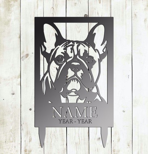 French bull dog - bull,