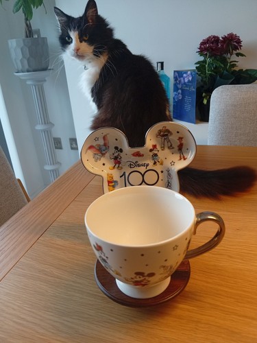 Official disney 100 - 100, years