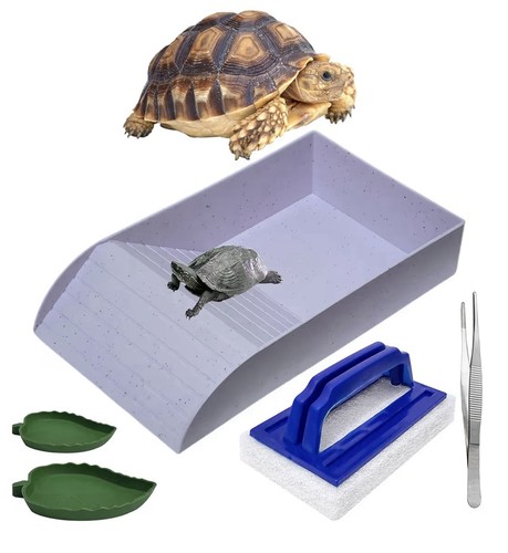 Tortoise water dish with ramp - water,