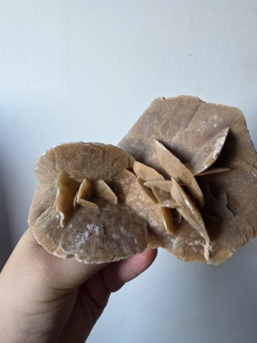 Natural desert rose - natural,