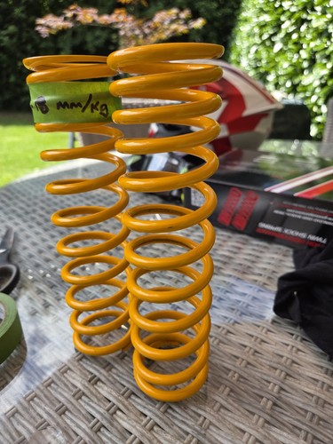 Ohlins twin shock - ohlins,