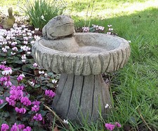 STONE GARDEN FROG BIRD BATH