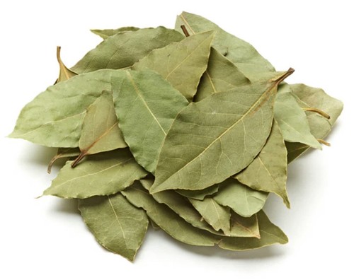 Bay leaves leaf tej patta - leaf,