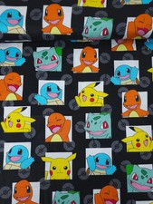 Pokemon Character Frames 100%