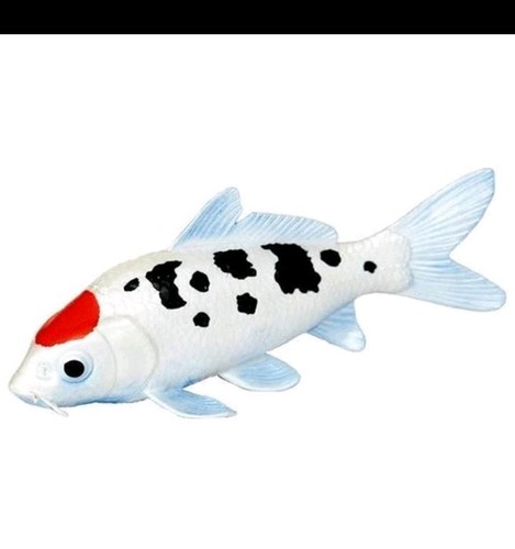 Koi fish tancho - fish, figure