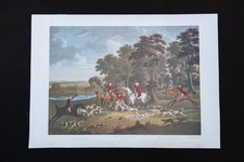 Hunting Prints - Set of 4